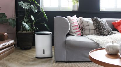 A Meaco dehumidifier by the side of a sofa in a living room with dark walls