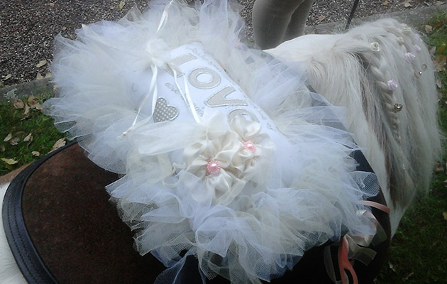Shetlandwedding2