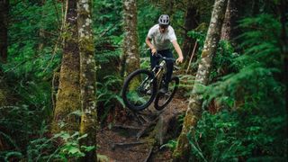 A rider sends a drop in the woods 