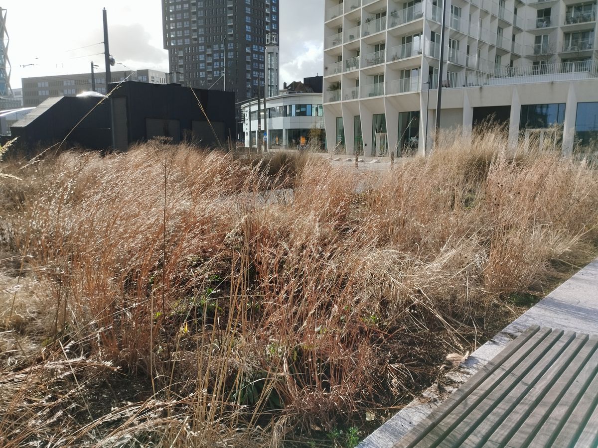 Poco X5