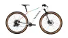 Canyon Exceed CF 7 WMN