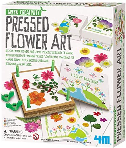 Toysmith Green Creativity Pressed Flower Art Kit
