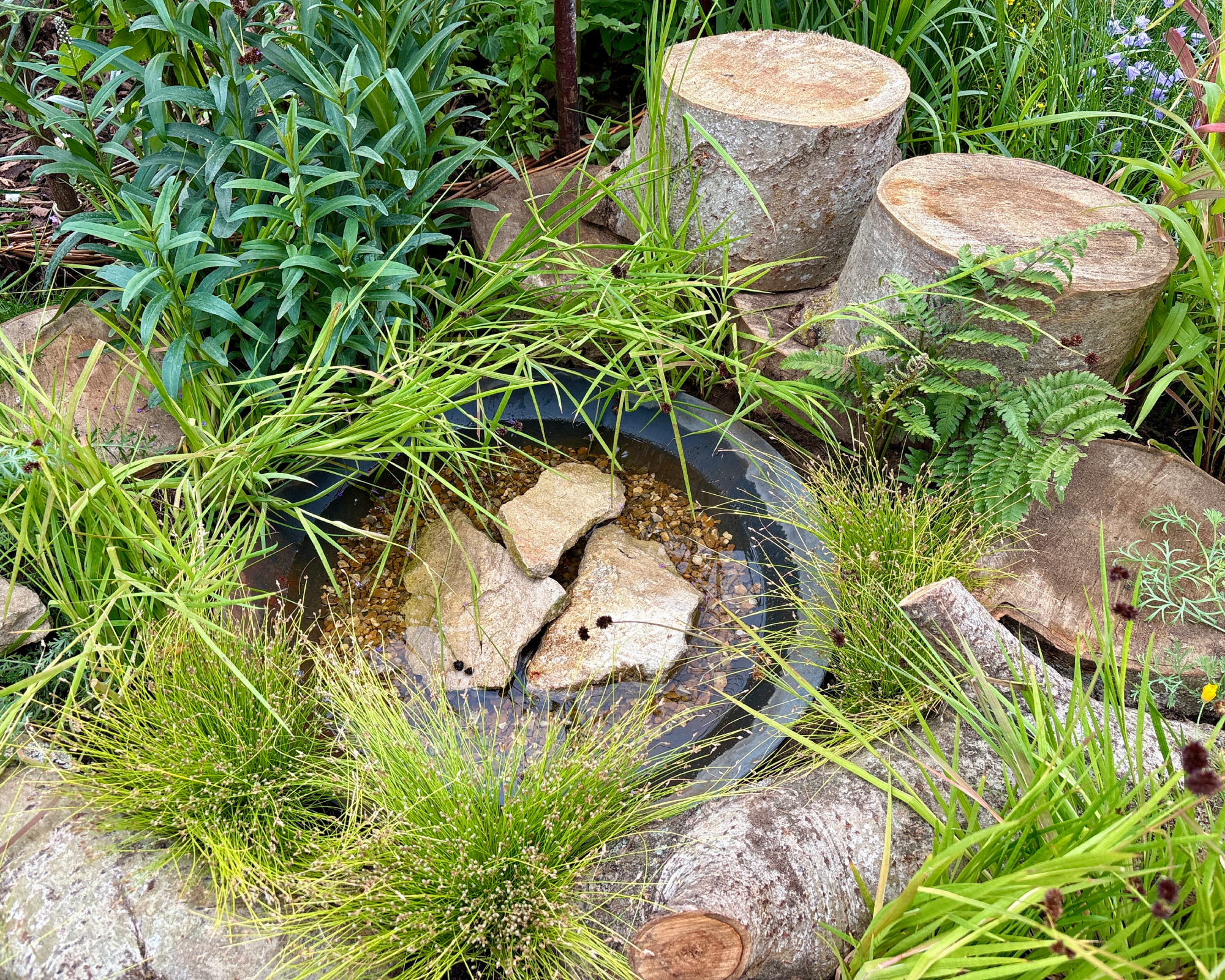 container pond for wildlife