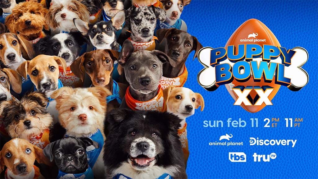 2024 Puppy Bowl airs Feb. 11. 