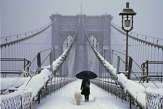 Walking dog in the snow