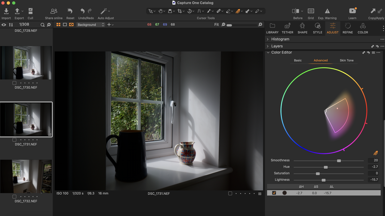 A screenshot from photo editing software Capture One Pro