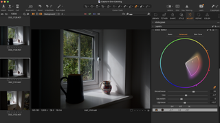 A screenshot from photo editing software Capture One Pro
