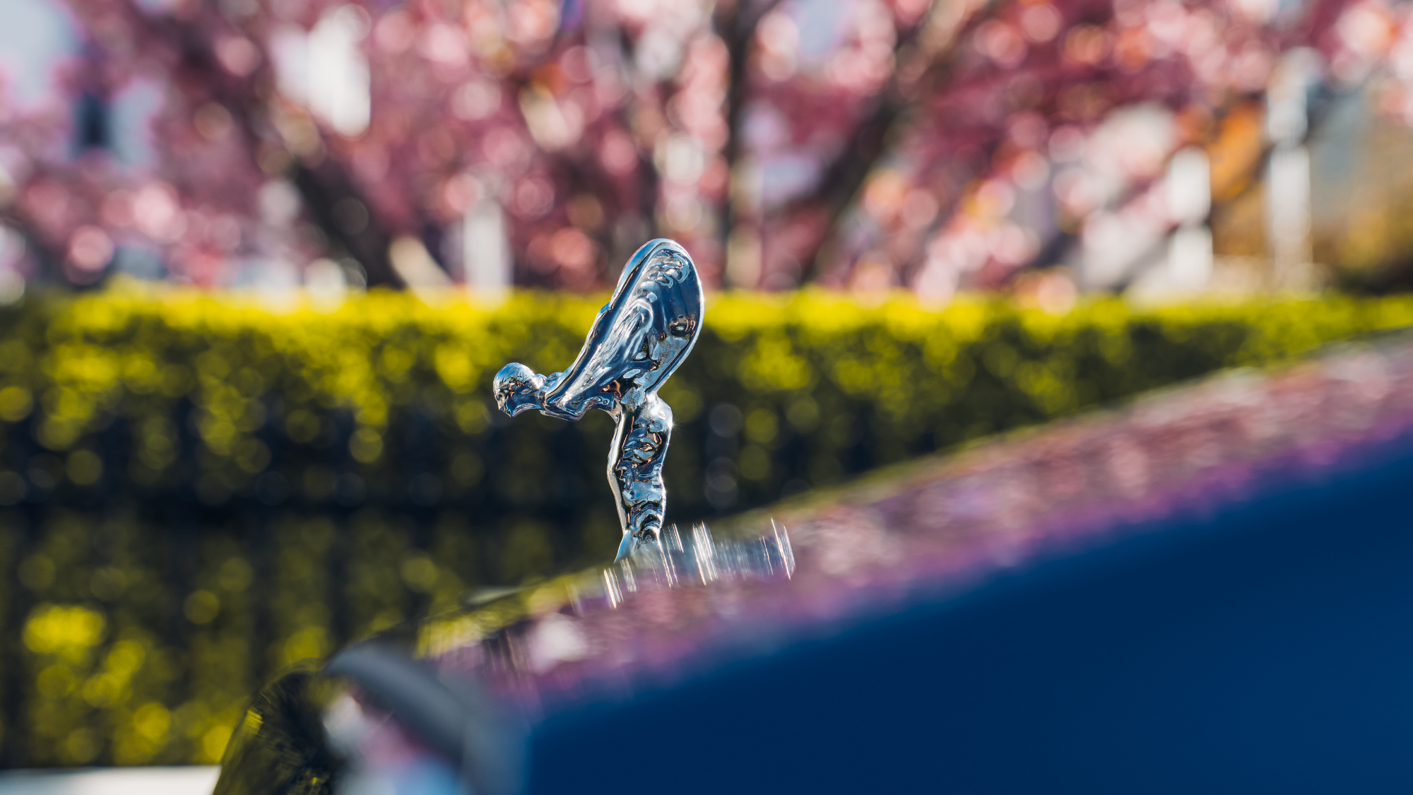 Rolls-Royce Ghost close up of bonnet.