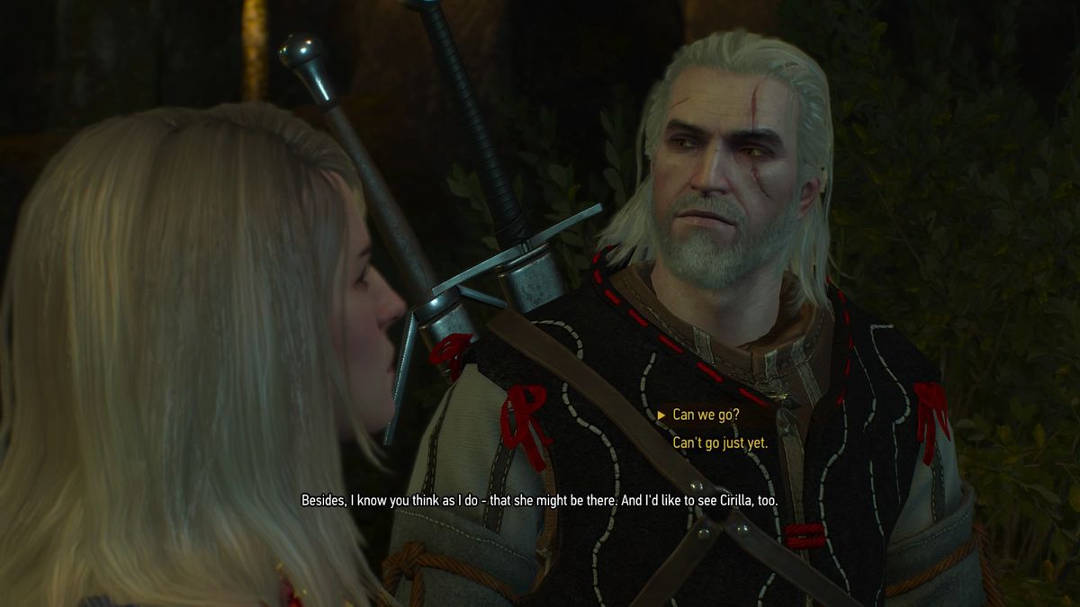 The Witcher 3 Wandering in the Dark quest and how to escape from the ...