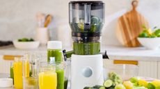 Nama Juicer with large pitcher