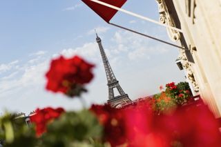 Red roses in front of the Eiffel Tower in Paris, France