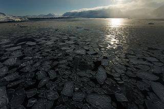 Pancake ice, Monaco glacier. Taken as part of the 2014 NPI and WWF-Canon expedition to Svalbard, Norway.