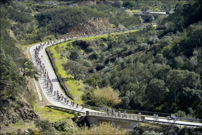 The peloton in action during stage 1 at the Volta ao Algarve.