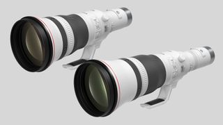 Canon RF 800mm f/5.6 L IS USM and Canon RF 1200mm f/8 L IS USM