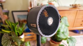 Shark FlexBreeze fan in a colorful living room