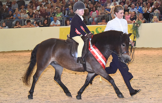 Equifest 2018