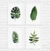 Not on the highstreet Tropical Leaf Print Set Of Four Illustration