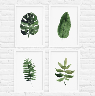 Tropical Leaf Print Set Of Four Illustration