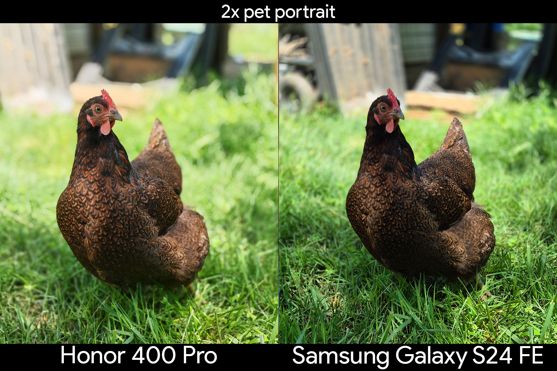 Portrait mode shots comparing the Honor 400 Pro and the Samsung Galaxy S24 FE