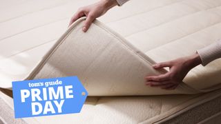 A pair of hands lifting the Birch Plush Organic Mattress Topper off the surface of the Birch Natural Mattress, a Tom's Guide Prime Day deals graphic (left)