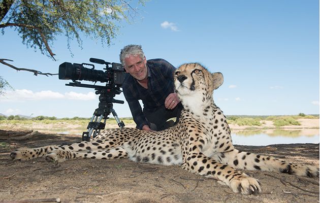 Gordon Buchanan on Animals with Cameras - &#039;We have exhilarating footage of a cheetah hunting&#039;