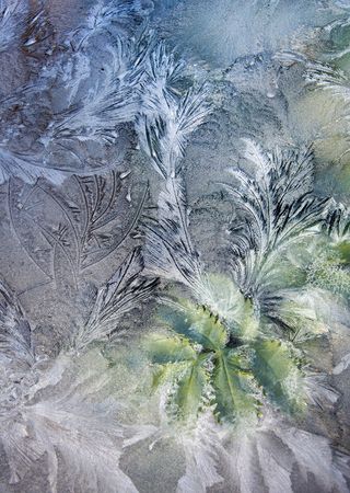 'Through Icy Glass' by Carol Casselden (#159369)