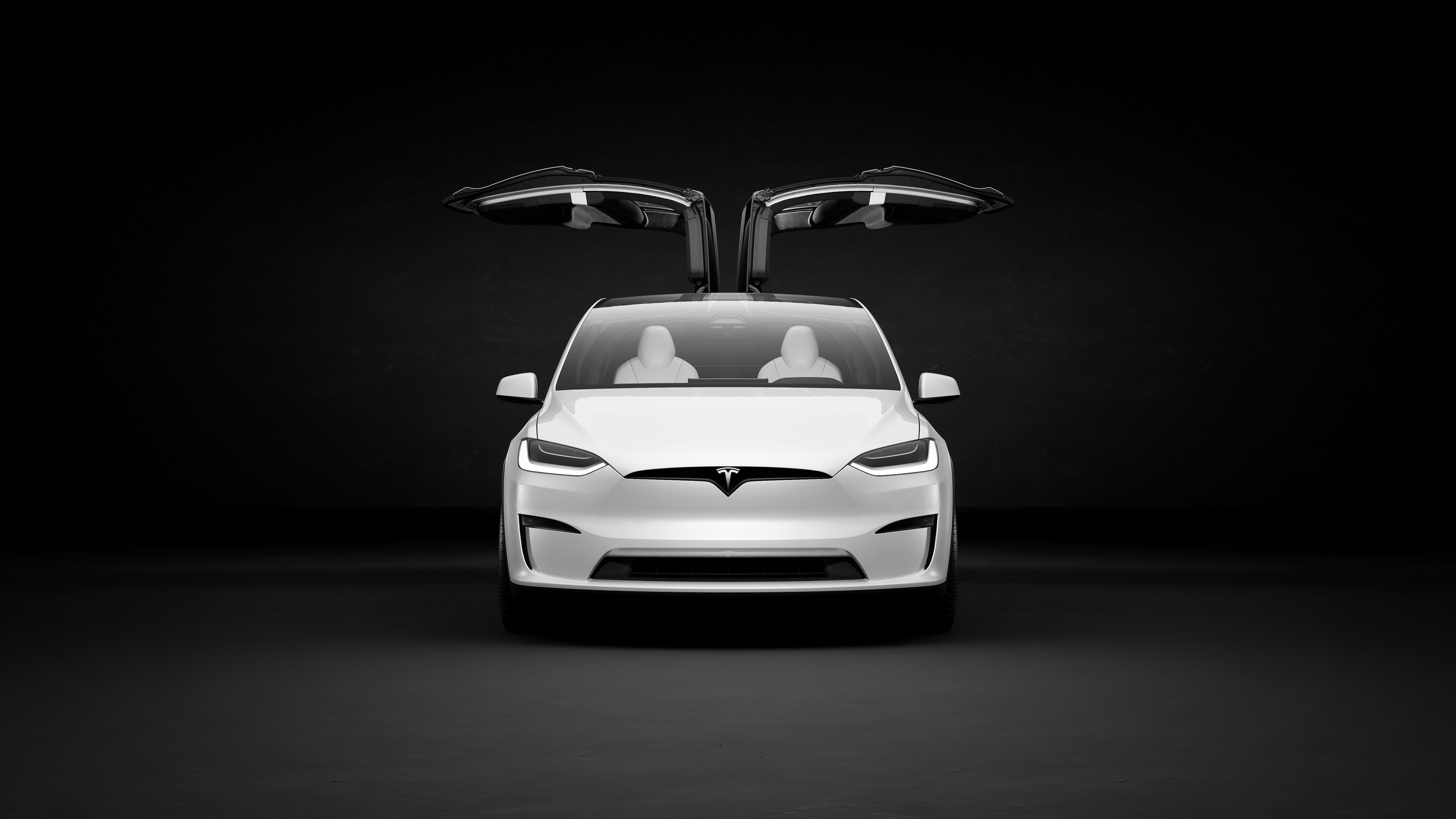 Tesla Model x karierte Flügeltüren