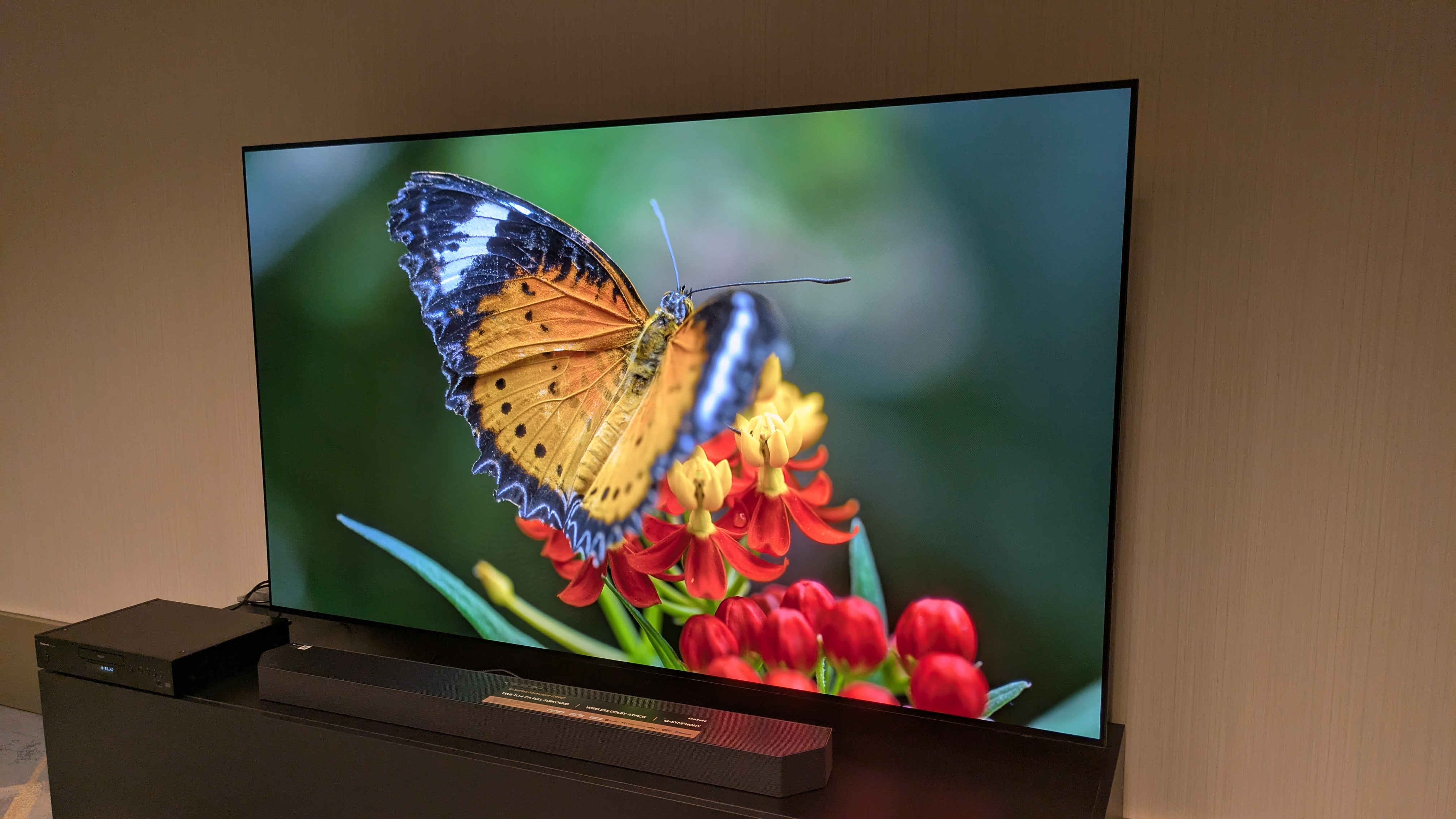 The Samsung S95F TV showing an image of a bright butterfly