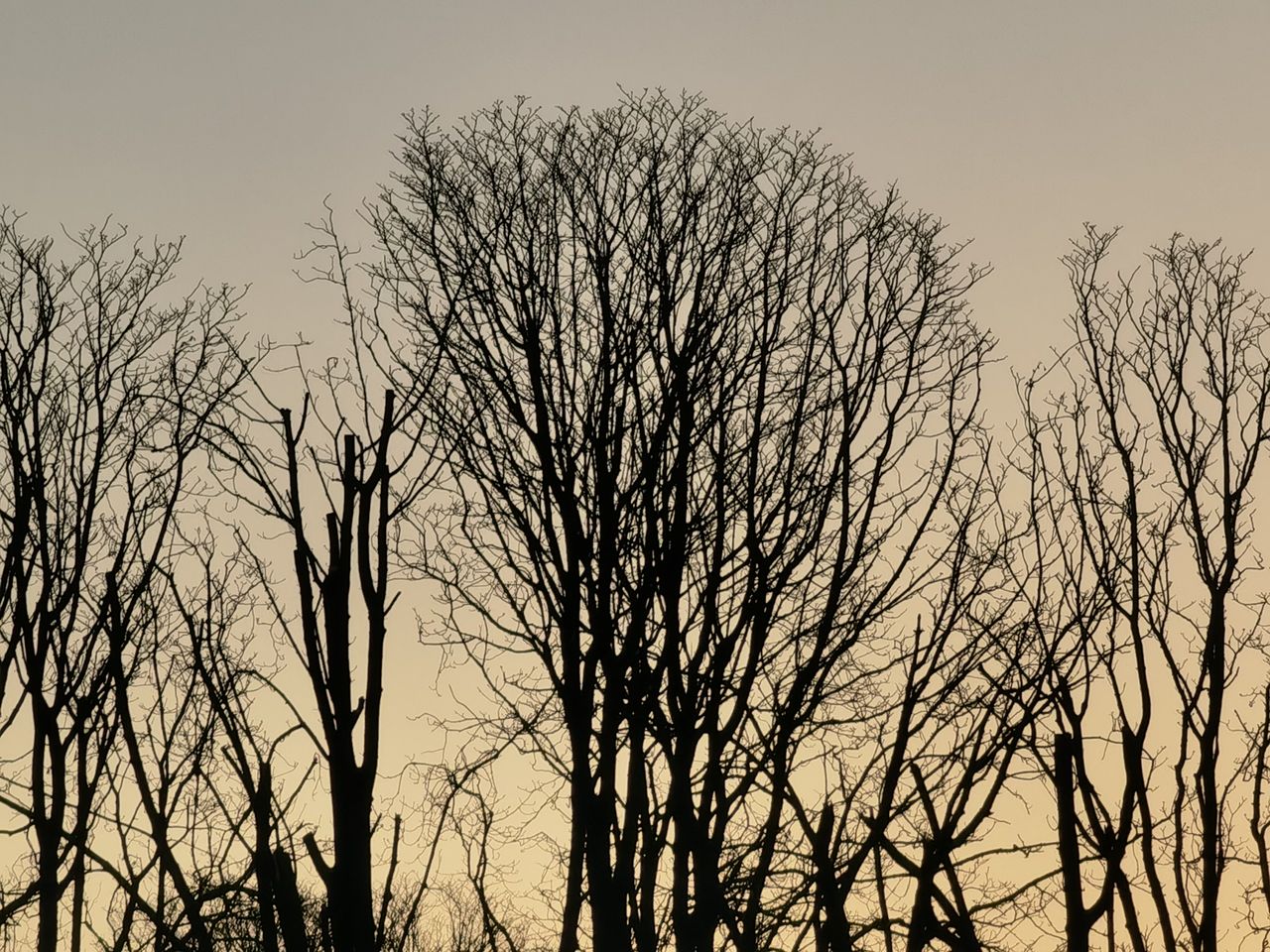 Huawei Mate 40 Pro camera