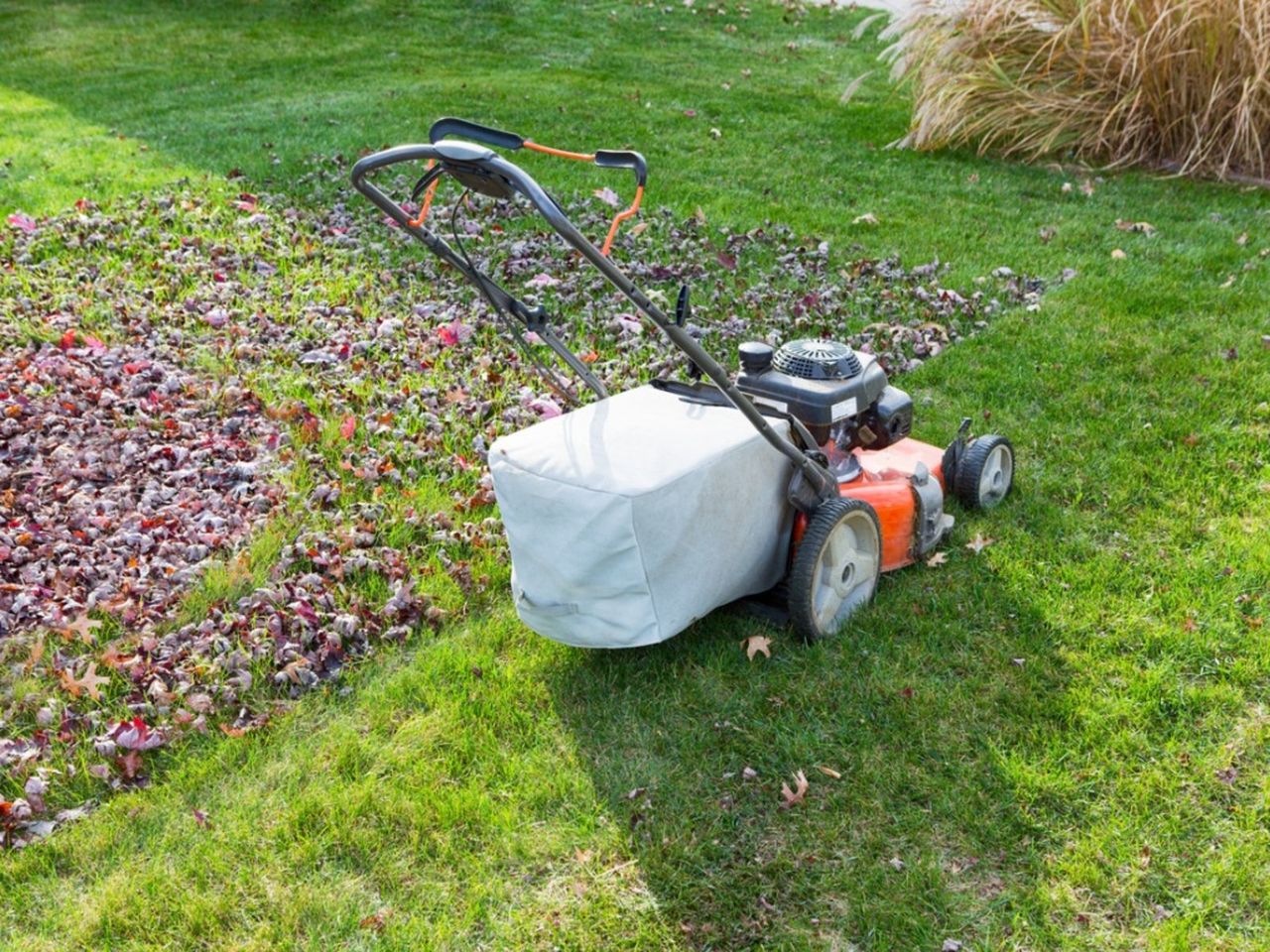 Mowing The Grass In The Fall