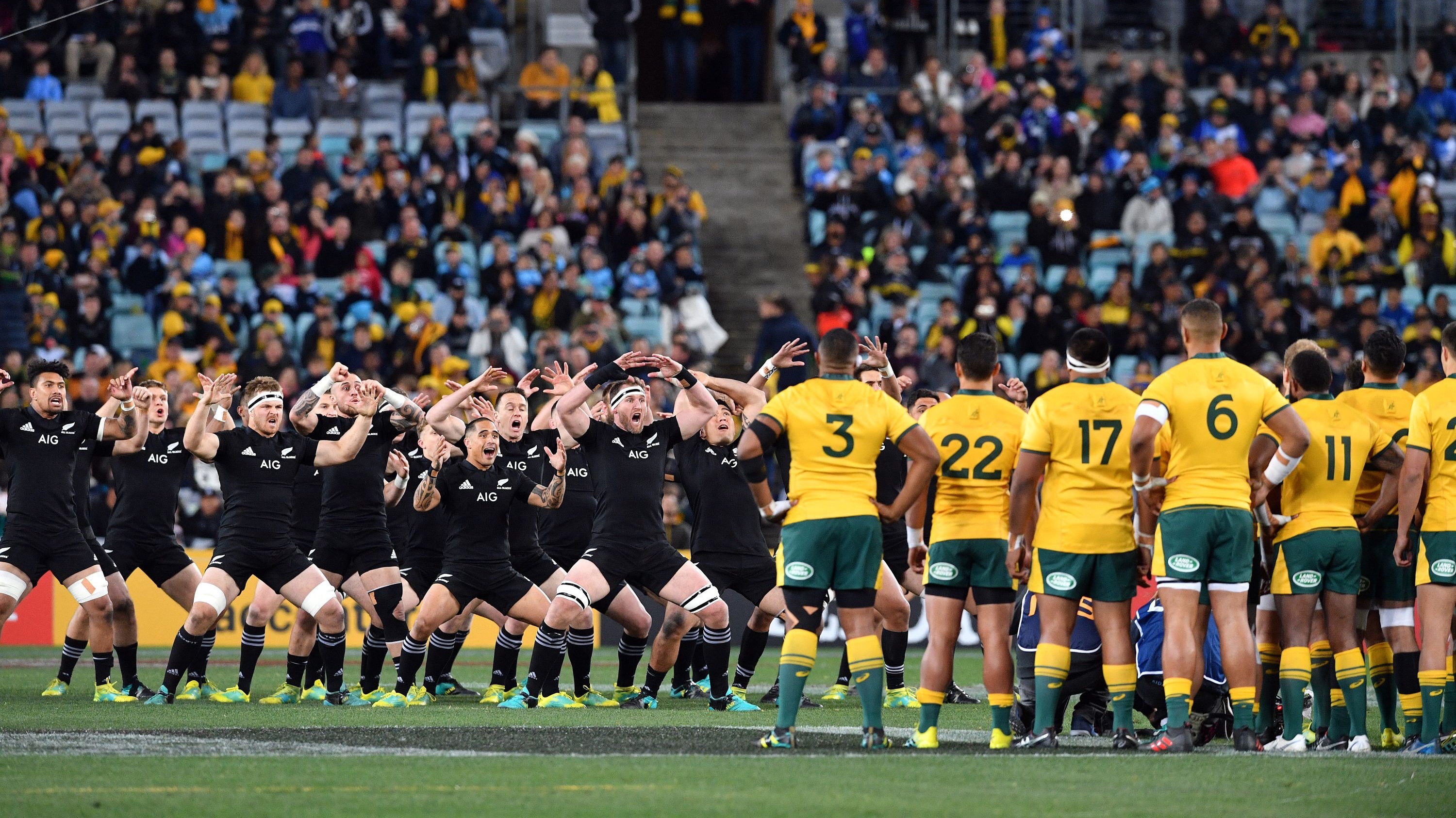 Bledisloe Cup 2019 How To Livestream Australia Vs New Zealand Rugby 