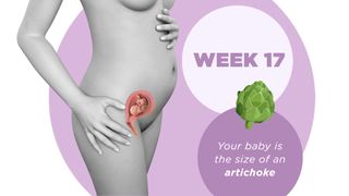 Pregnancy week by week 17