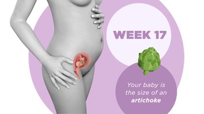 Pregnancy week by week