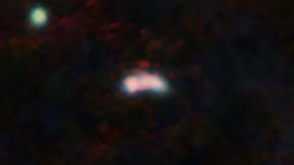 La galassia Y1 e i suoi dintorni visti dalla NIRCAM del telescopio spaziale James Webb (blu e verde) e da ALMA (rosso). Credits: NASA, ESA, CSA (JWST), T. Bakx/ALMA (ESO/NRAO/NAOJ)