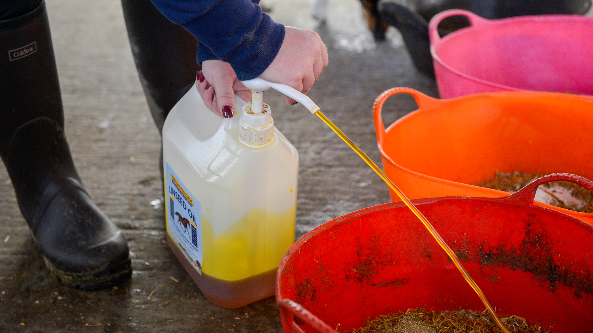Close up of person adding linseed oil to horse feed