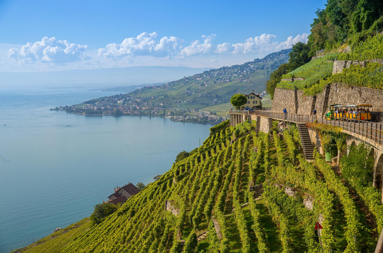 Lavaux Express train throgh vineyards