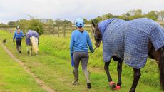 Turnout_leading_horse_to_paddock_5F2A0577.jpg