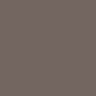 A brown paint swatch