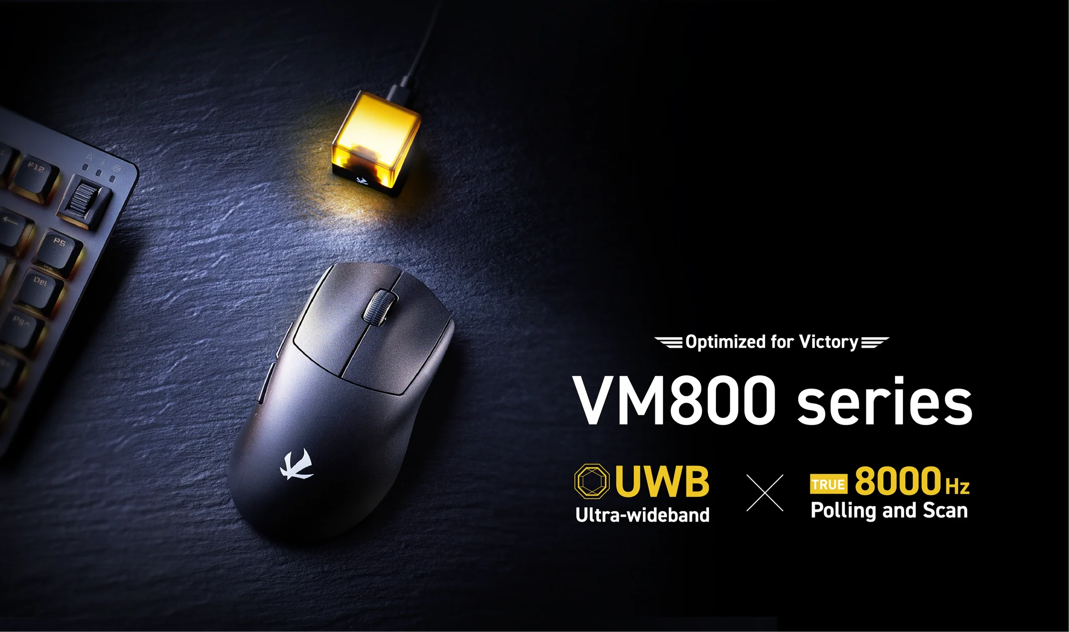 A promotional image showing the Elecom VM800 gaming mouse and some associated specs, including its ultra-wideband connection support and 8,000 Hz polling