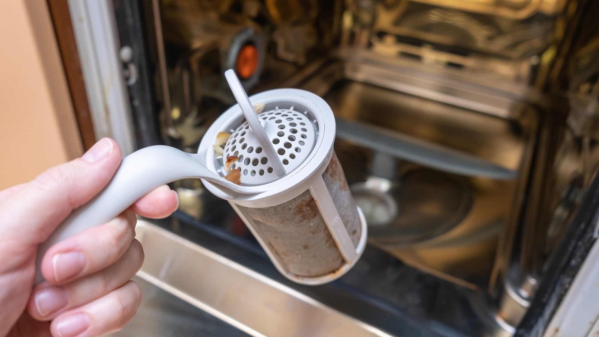 Hand holding dirty dishwasher filter by open dishwasher