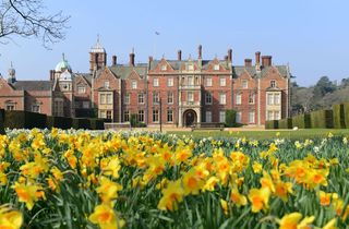 Sandringham Estate surrounded by daffodils