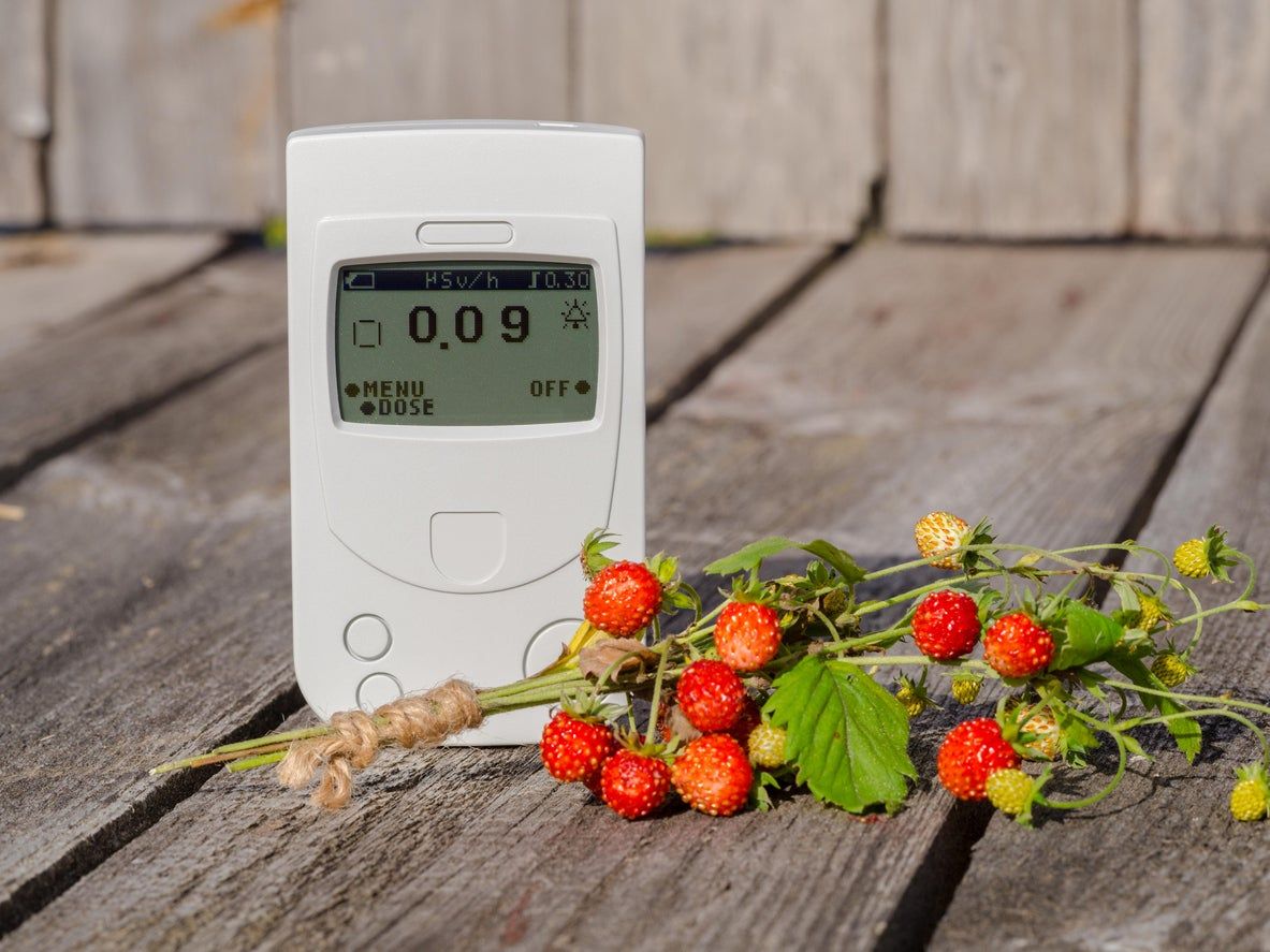 Radiation Meter Next To Strawberries