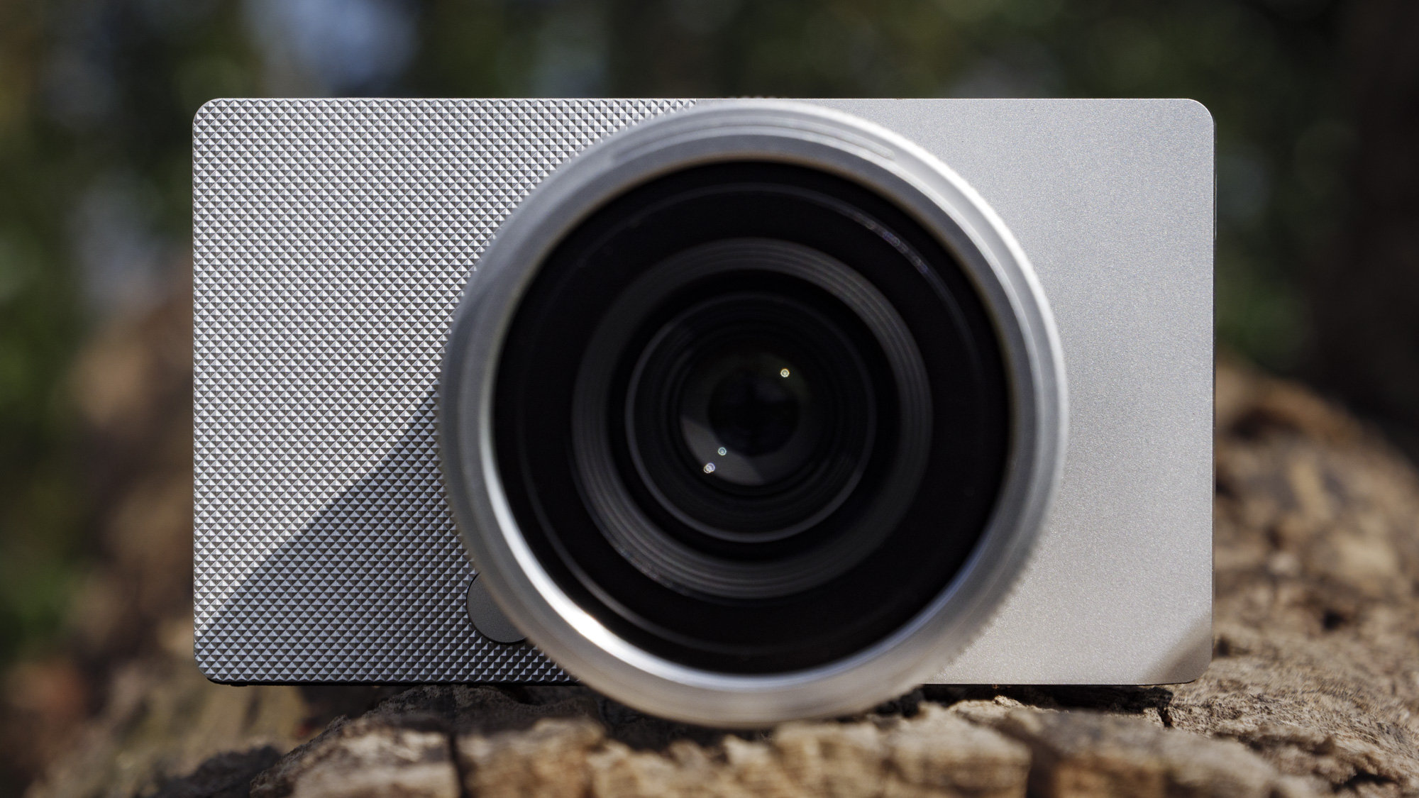 Silver Sigma BF camera with 35mm f/2 DG contemporary lens attached, on a large log