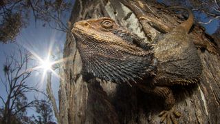 British Ecological Society Photographer of the Year