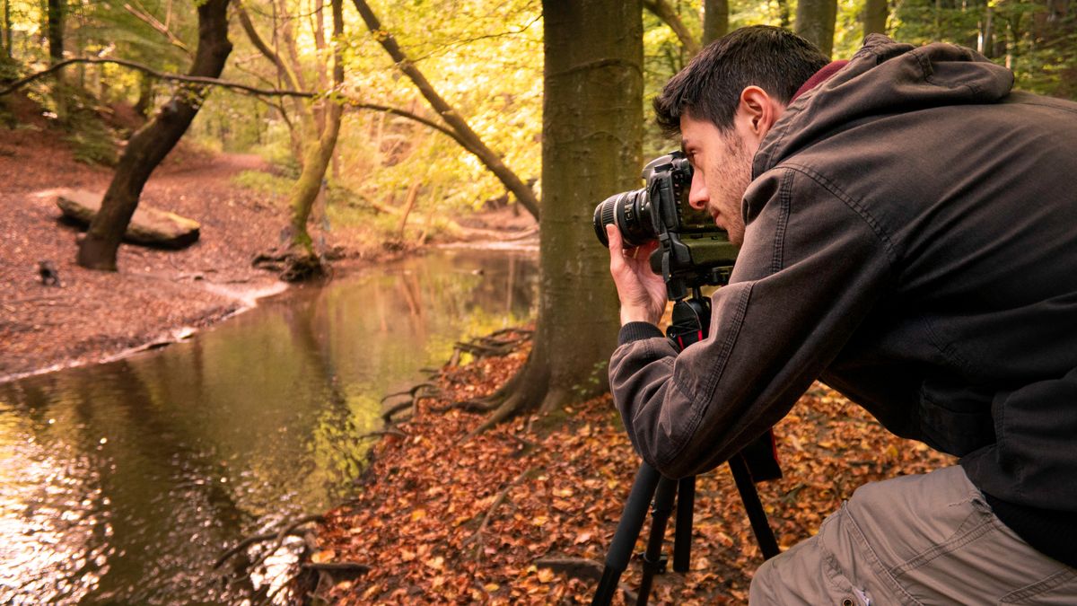 6 essentials for fall photography: get great autumn shots!