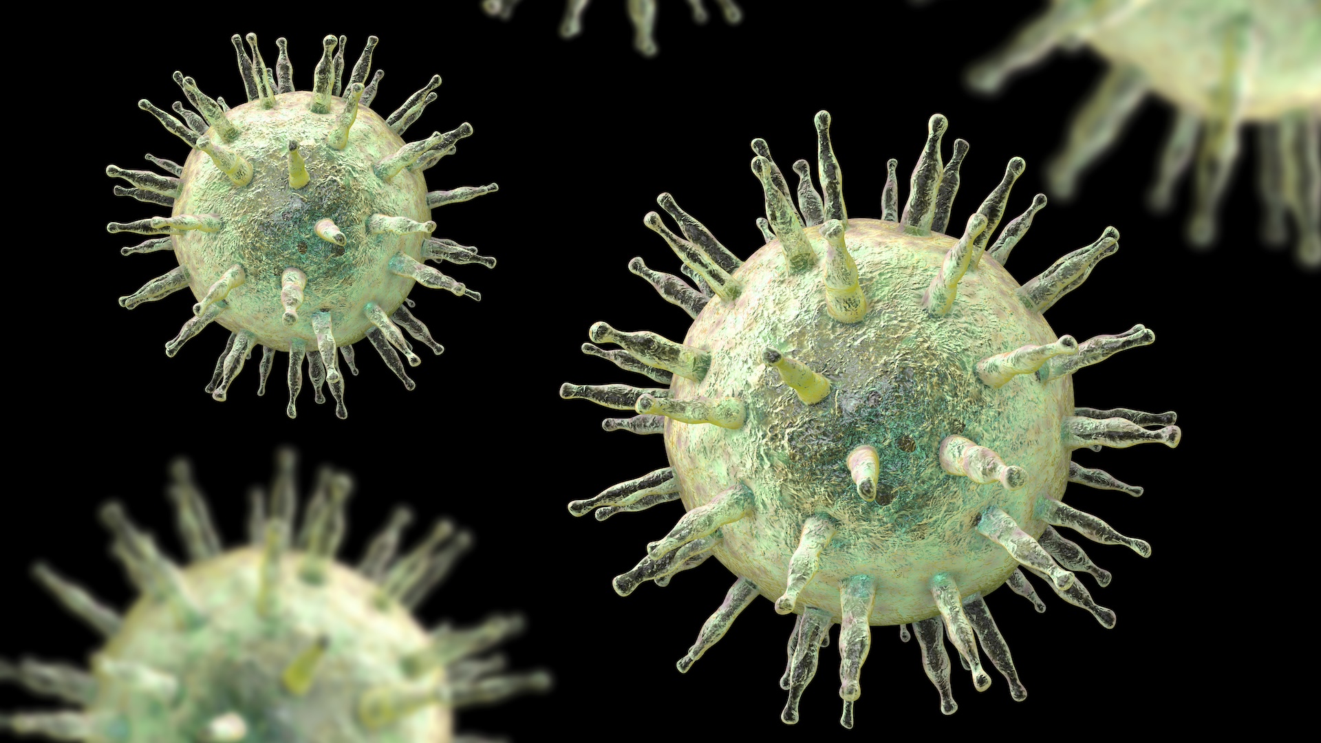 an illustration of Epstein-Barr virus