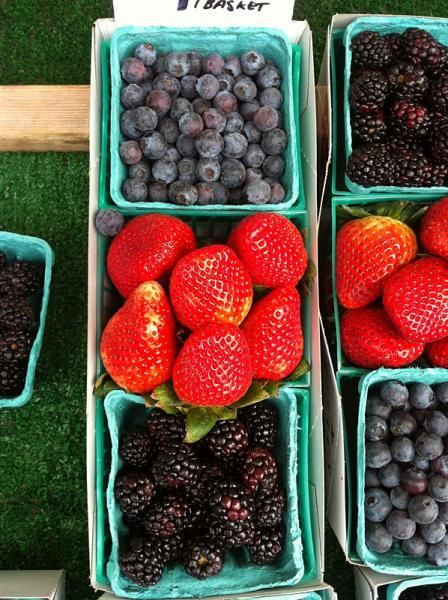 Santa Cruz farmer's market bounty