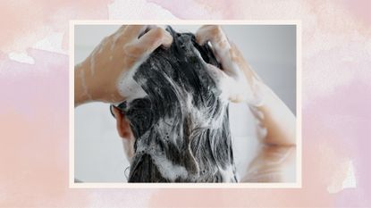 Image of the back of a person shampooing their hair on a pink watercolour background