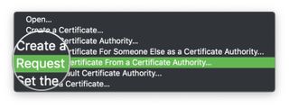 Keychain Access Request Certificate Authority