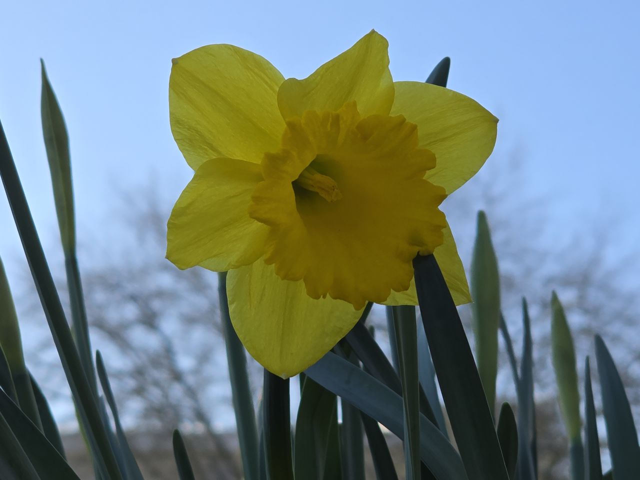 Camera phone shoot out: Photos from the Samsung S24 Ultra